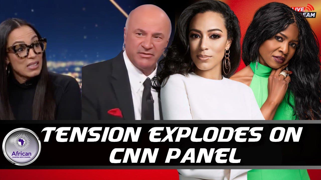 Suspect Angela Rye Tells CNN Panelist ‘Don’t Touch Me! - African ...